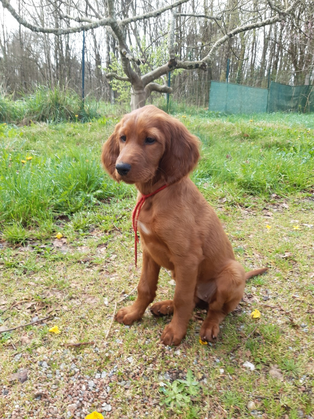 Baline De la vallée de cléry